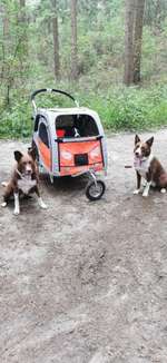 Hundeauslaufgebiet-Mutter Janssen Aurich-Bild