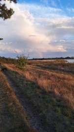 Hundeauslaufgebiet-Wikinger Gräber + Naturschutzgebiet-Bild