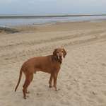 Ersteller:in Barbara Profilbild