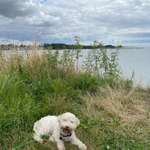 Ersteller:in Nina Profilbild