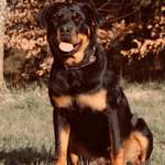 Ersteller:in Jassy Profilbild