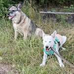 Ersteller:in m. c. Profilbild