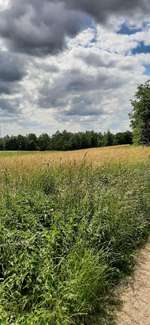 Hundeauslaufgebiet-Lentinger kleiner Wald-Bild