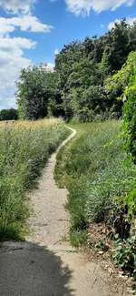 Hundeauslaufgebiet-Lentinger kleiner Wald-Bild