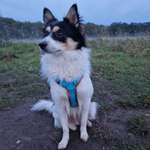 Ersteller:in Tanja Profilbild