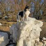 Ersteller:in Tanja Profilbild