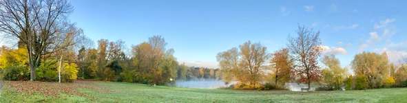 Hundeauslaufgebiet-Waldsee-Bild