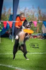 Zeigt doch mal eure Discdogs-Beitrag-Bild