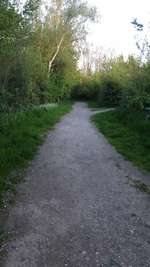 Hundeauslaufgebiet-Wattenscheid Kruppwald-Bild