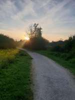 Hundeauslaufgebiet-Wattenscheid Kruppwald-Bild