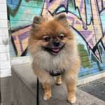 Ersteller:in Anke Profilbild