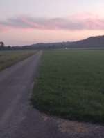 Hundeauslaufgebiet-Nähe Thalfinger Brücke-Bild