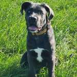 Ersteller:in Dennis Profilbild