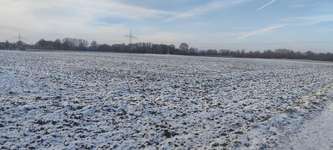 Hundeauslaufgebiet-Manchinger "Acker"-Bild