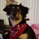 Ersteller:in Antje Profilbild