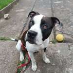 Ersteller:in Antonia Profilbild