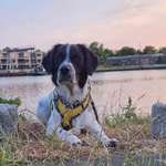 Ersteller:in Josephine Profilbild