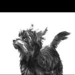 Ersteller:in Kim Chiara Profilbild