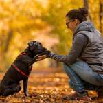 Ersteller:in Anna Profilbild