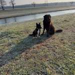 Ersteller:in Daisy Profilbild