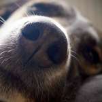 Ersteller:in Lissy Profilbild