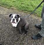 Ersteller:in Sandra Profilbild