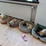 Ersteller:in Micha Profilbild