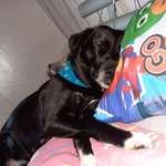 Ersteller:in Jessica Profilbild