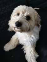 Zahnpflege... putzen, Spray, Gel oder Pulver?-Beitrag-Bild