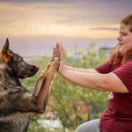 Ersteller:in Aylin Profilbild