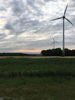 Hundeauslaufgebiet-Brenkermark / Panzerwald-Bild