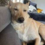 Ersteller:in Franziska Profilbild