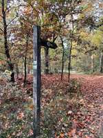 Hundeauslaufgebiet-Walderlebnis Ehrhorn, Erlebnispfad in der Lüneburger Heide.-Bild