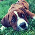 Ersteller:in Katrin Profilbild