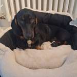 Ersteller:in Sabrina Profilbild