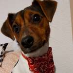 Ersteller:in Katja Profilbild