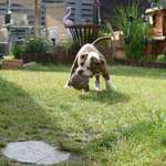 Ersteller:in Jen Profilbild