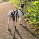 Ersteller:in Michaela Profilbild