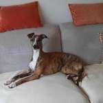 Ersteller:in Joachim Profilbild