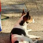 Ersteller:in Manuel Profilbild