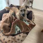 Ersteller:in Sandra Profilbild