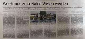 Hundeauslaufgebiet-Hundetreff Goch-Bild