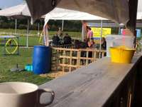 Hundeauslaufgebiet-Hundetreff Goch-Bild