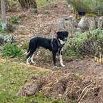 Ersteller:in Elisabeth Profilbild