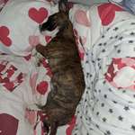 Ersteller:in Sarah Profilbild