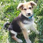 Ersteller:in Anja Profilbild