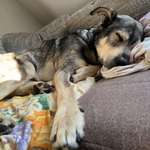 Ersteller:in Jason Profilbild