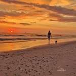 Ersteller:in Nadine Profilbild