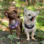 Ersteller:in Rebecca Profilbild