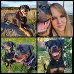 Ersteller:in Nicole Profilbild